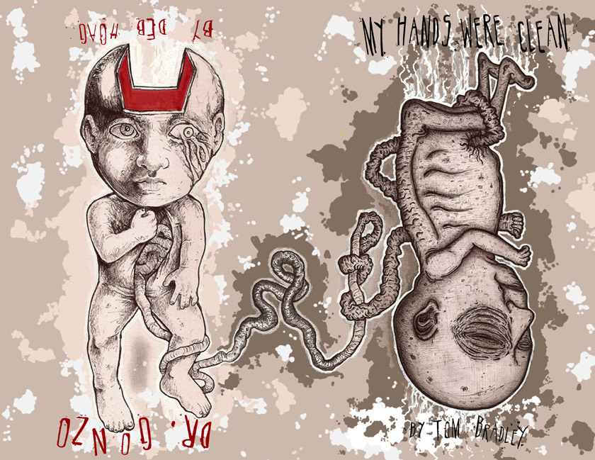 My Hands Were Clean by Tom Bradley and Dr. Gonzo by Deb Hoag